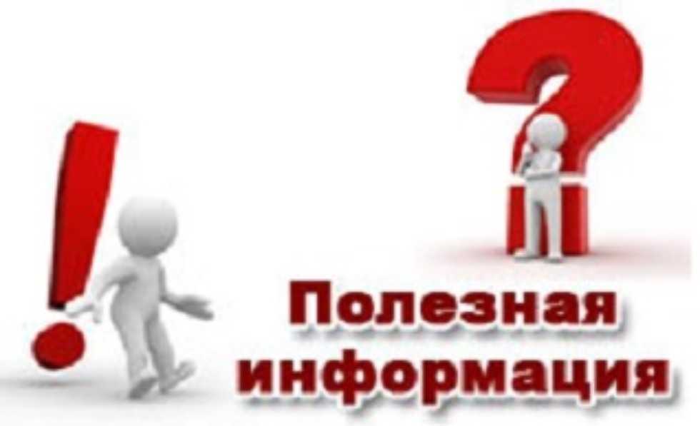 Лечите ли вы диастаз прямых мышц живота? - евразийский центр бариатрии