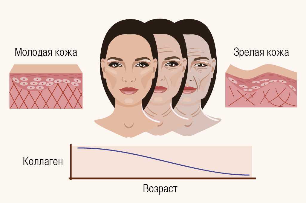 Что говорят морщины на лице о характере человека - все о здоровье