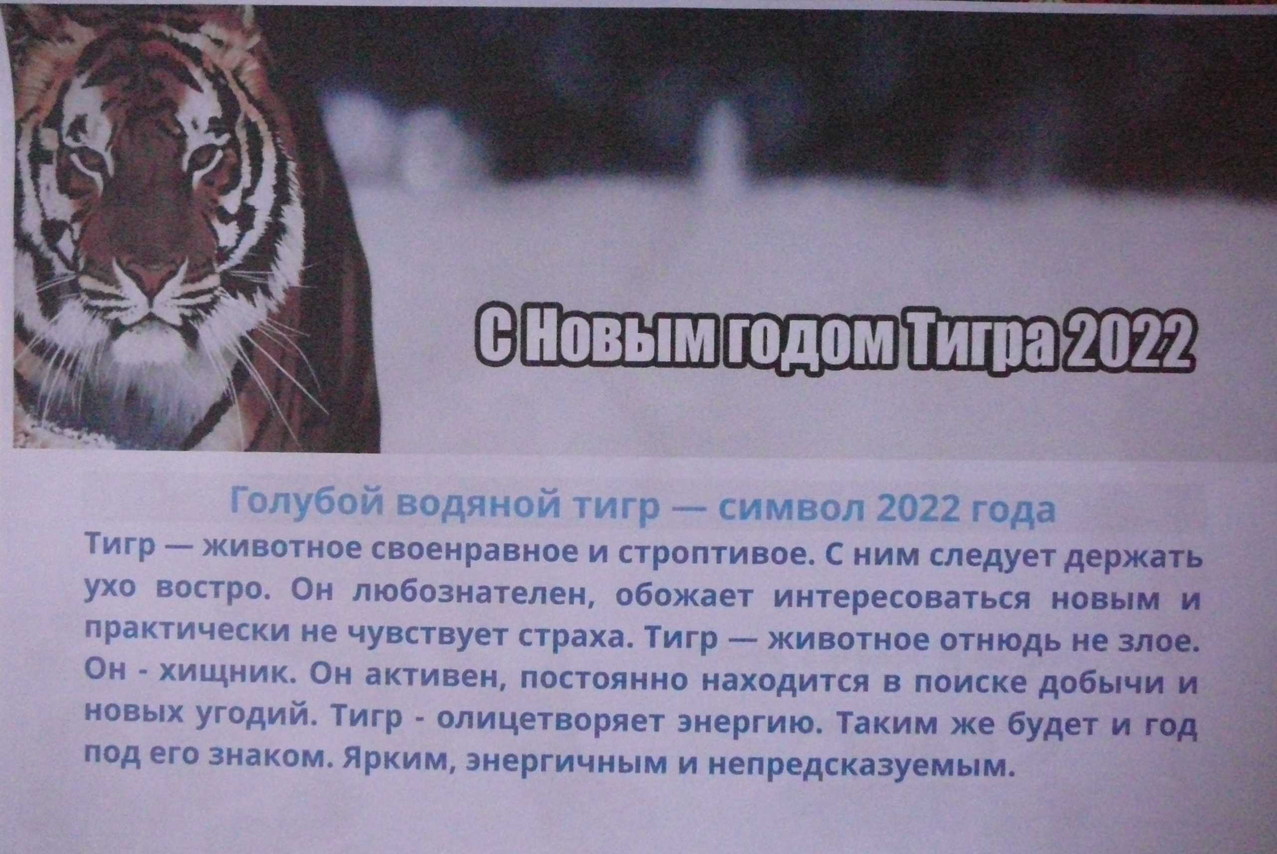 Как правильно встретить год тигра 2022, как украсить дом, что надеть и что подарить на новый 2022 год
