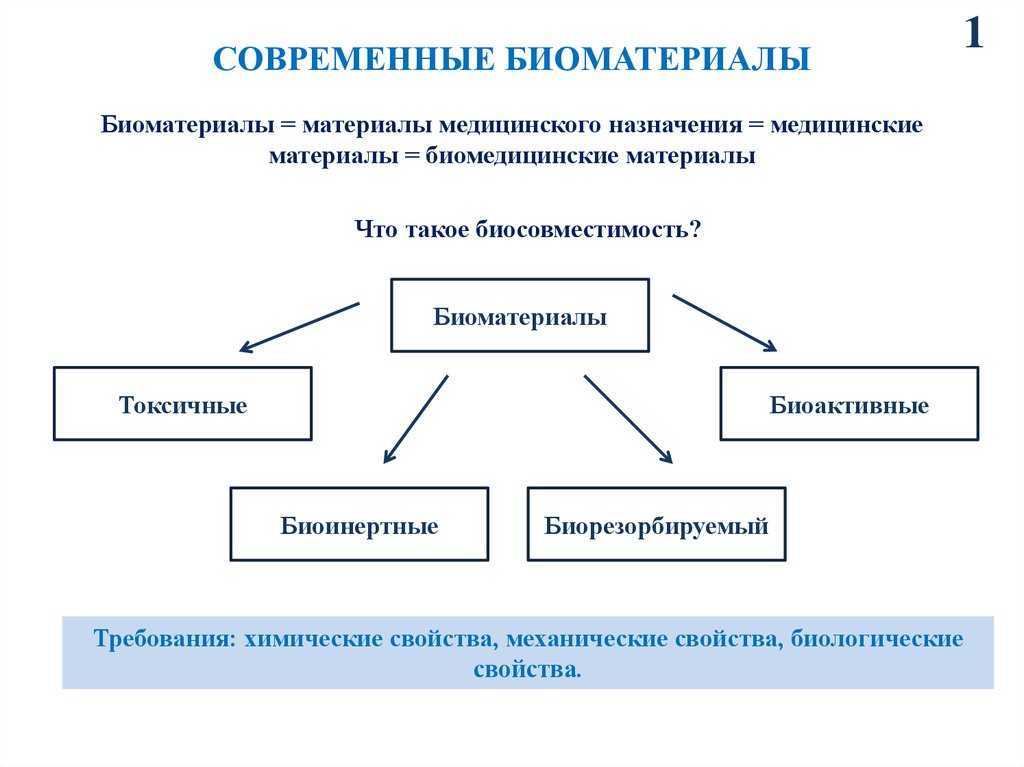 Стволовые клетки для омоложения: показания, применение, результаты