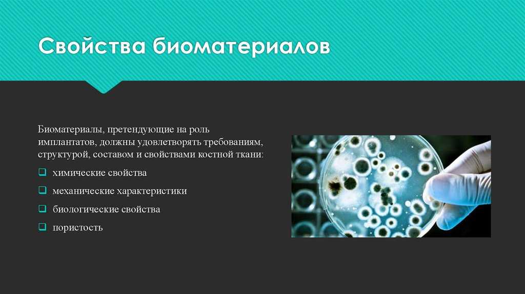 «мы — объект очень большого интереса»: путин рассказал о целенаправленном сборе биоматериала россиян — рт на русском