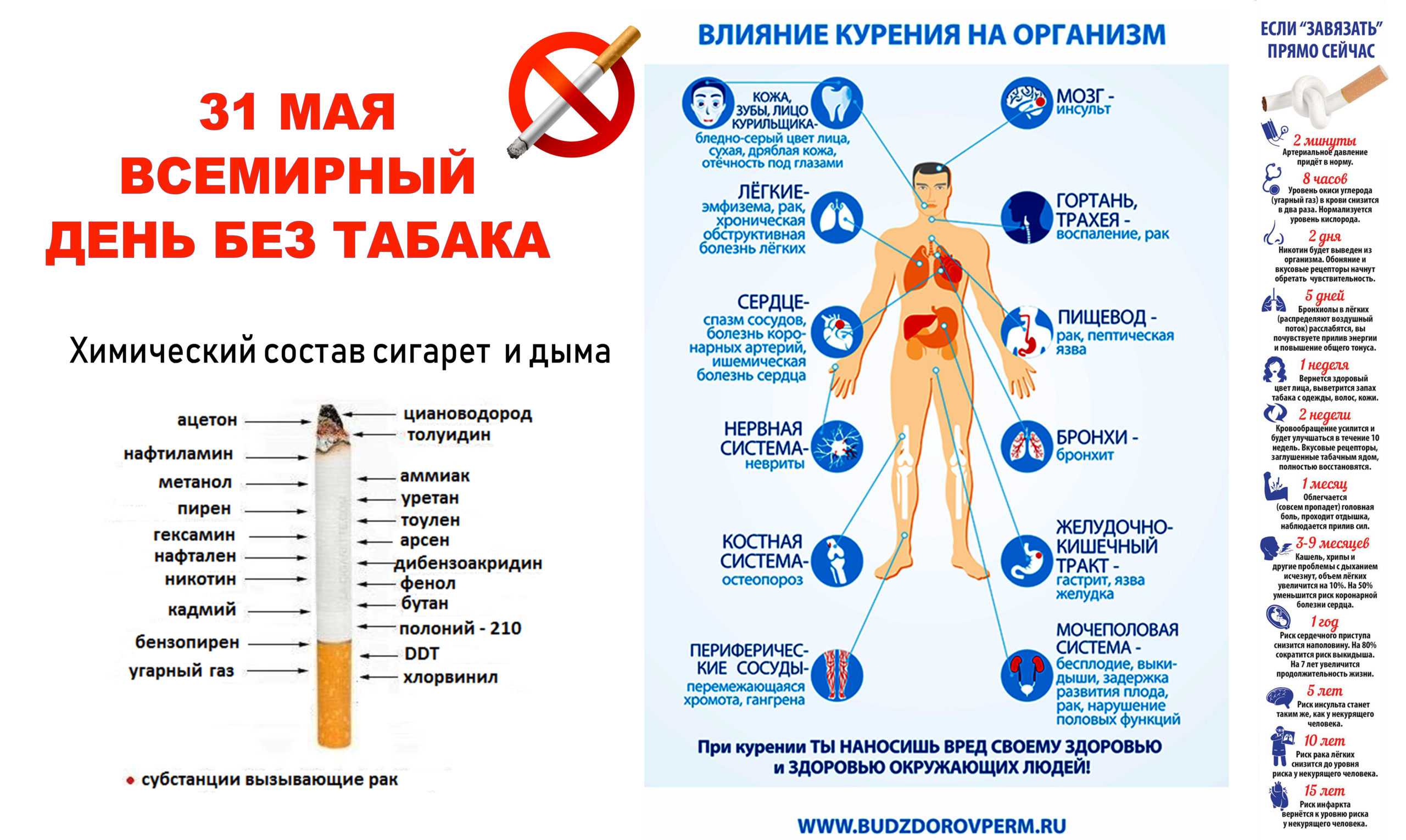 Симптом бледность губ - при каких болезнях, какие врачи лечат и необходимые процедуры