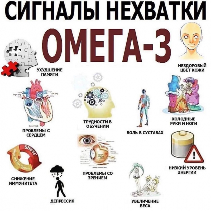 Льняное масло (альфа-линоленовая кислота): полезные возможности для здоровья