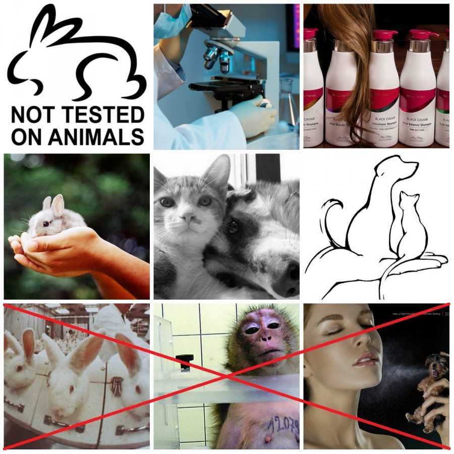 Cosmetics brands that still test on animals in 2023
