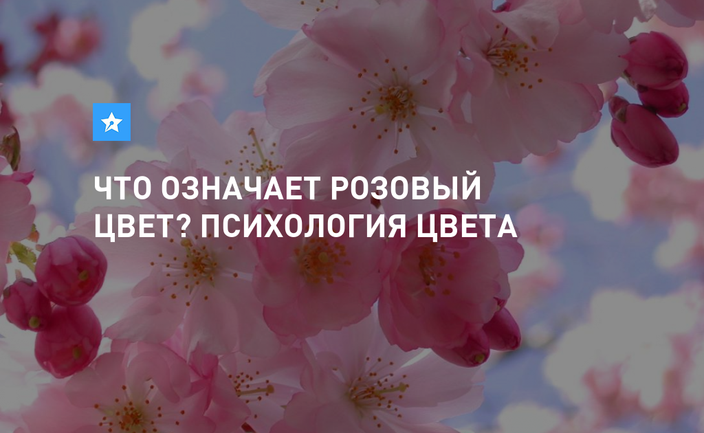 Кто придумал, что розовый цвет для девочек, а голубой для мальчиков