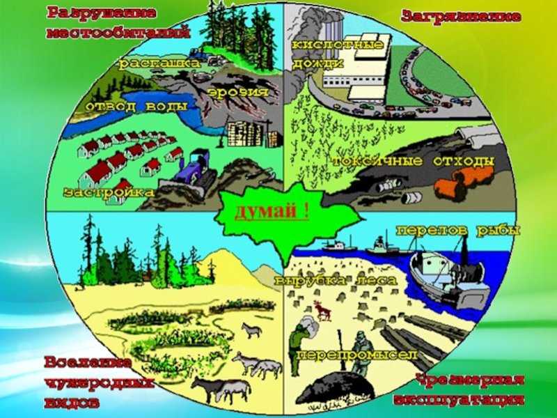 Любовь на грани экосексуальности
