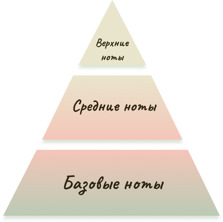 Пирамида запахов: что она означает и как ее читать