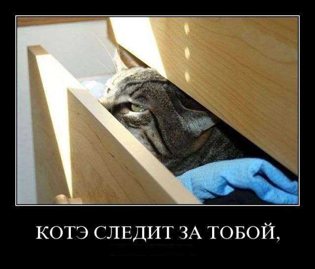 Сталкинг в отношениях: навязчивые влюбленные