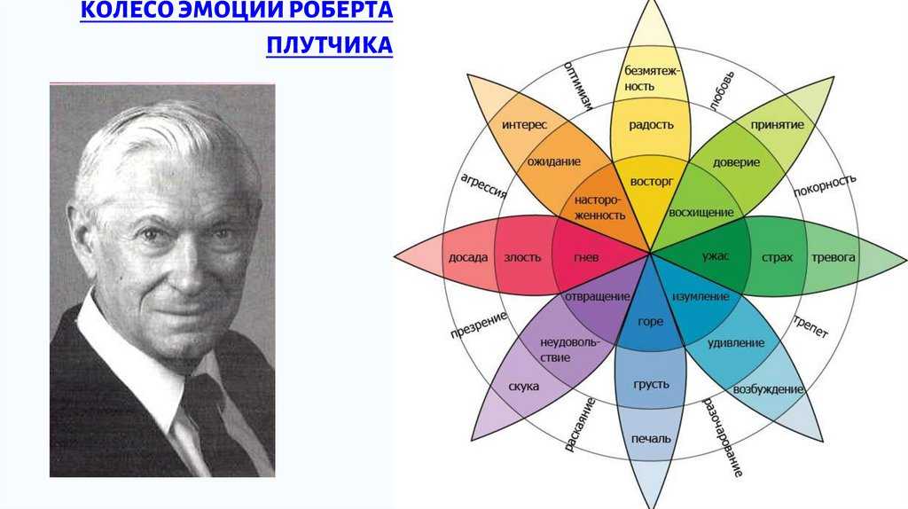 Ночь перед экзаменом: учить или спать? :: инфониак