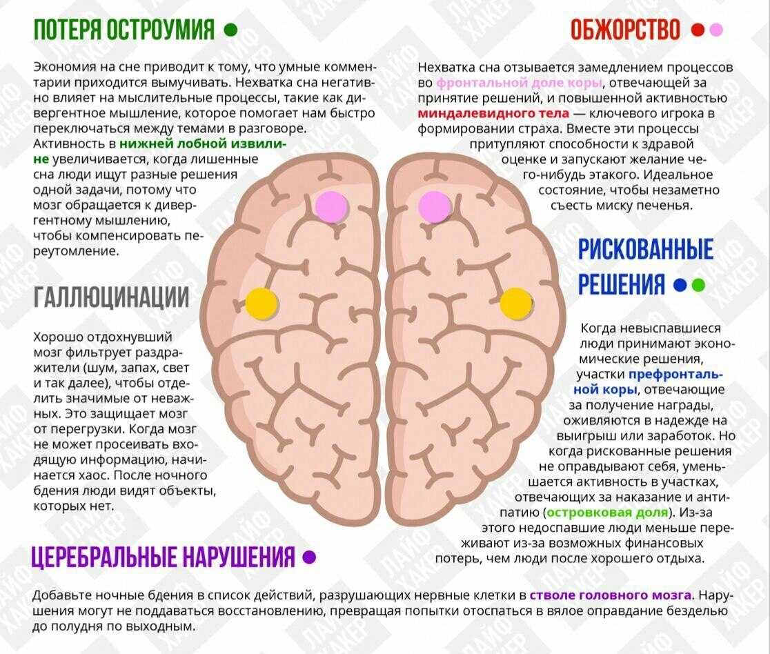 Что происходит с мозгом, когда мы спим? - блог викиум