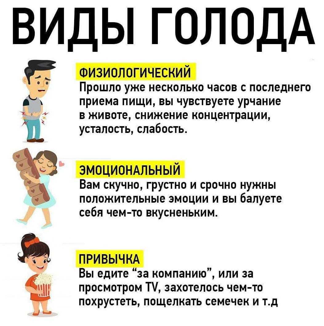 Разбираемся, чем клеточный голод отличается от гормонального, какие виды голода бывают еще и почему они не всегда связаны с едой