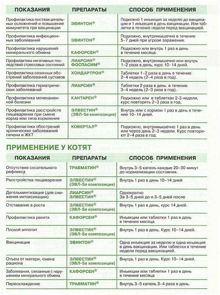 Кошки, болезни кошек, описание симптомов болезней, способы лечения