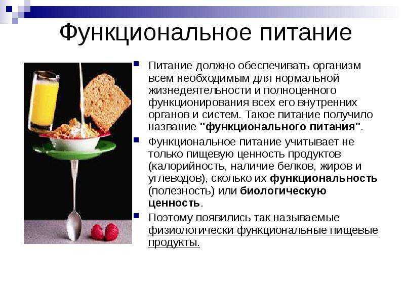 Функциональные продукты питания - виды и свойства