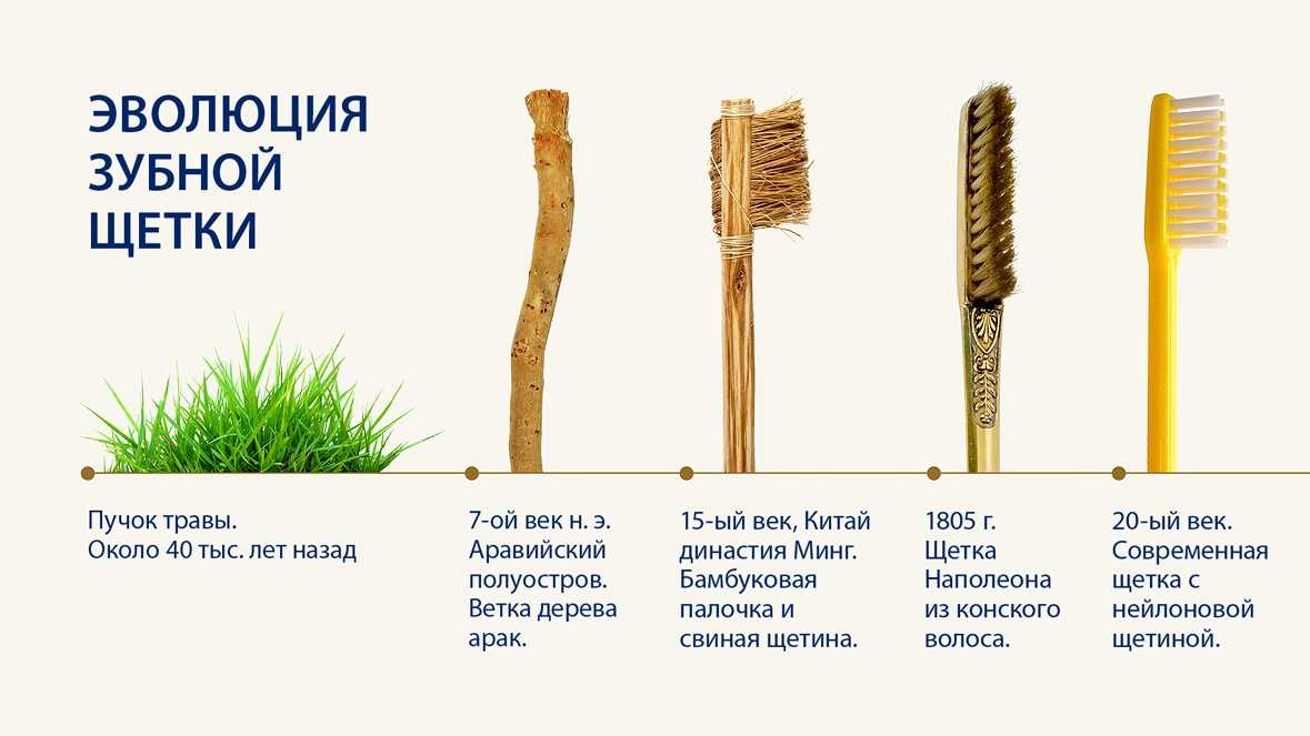 Зубная щетка: уход и дезинфекция