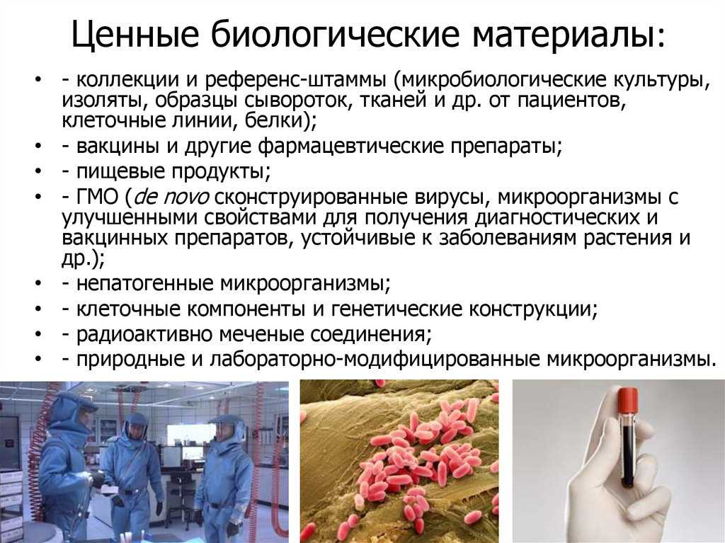 «живые» активы: проблемы и перспективы регулирования биобанкирования - статьи информационного юридического портала сфера