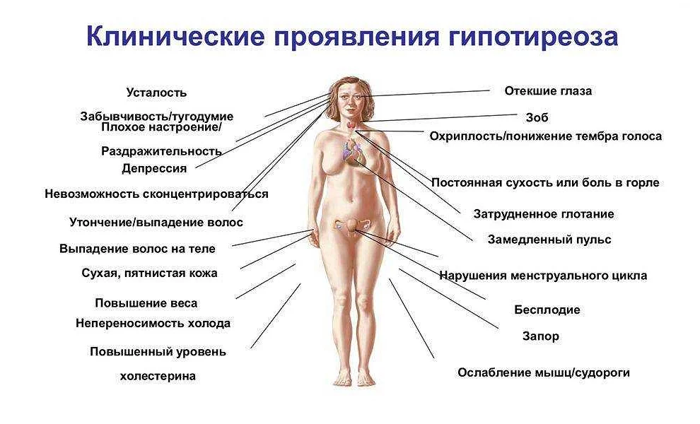 Тарек эль мусса раковая битва - флип или флоп тарек эль мусса обновление здоровья - сельская жизнь - 2023