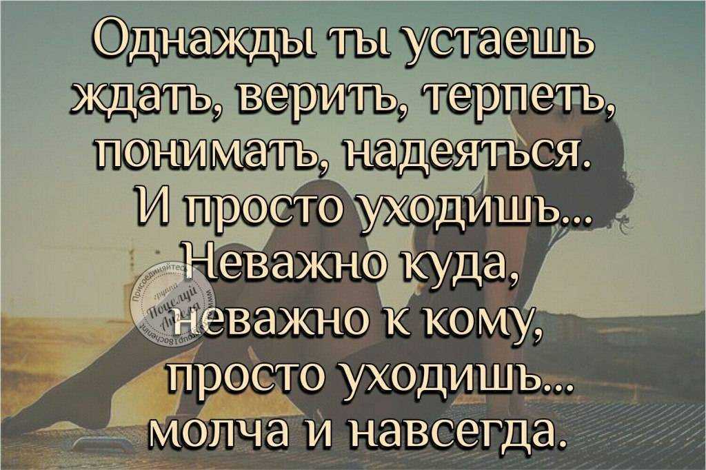 Советы, которые помогут справиться с болью из-за утраты питомца