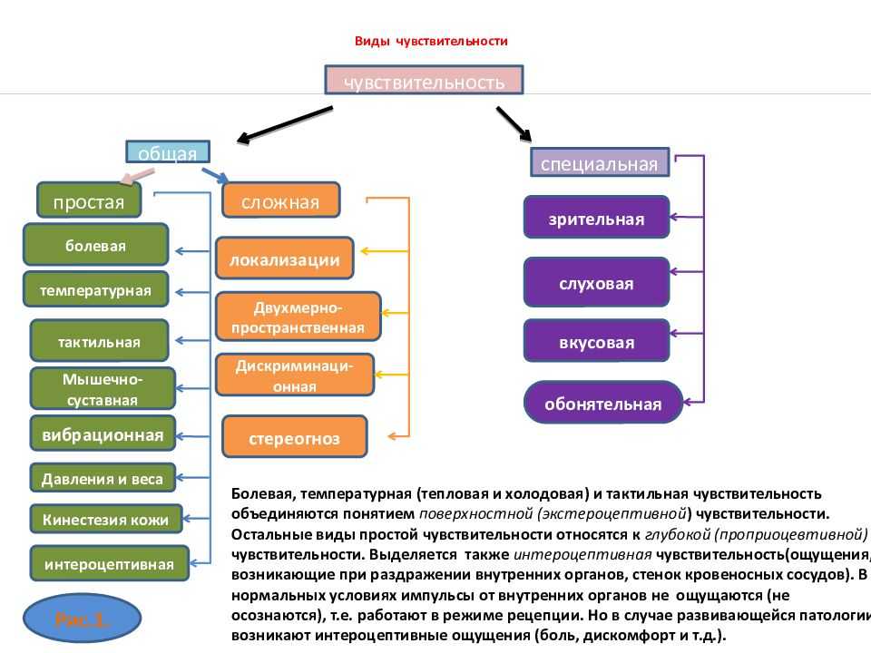Проявление эмпатии - не приговор. как справиться с повышенной чувствительностью
