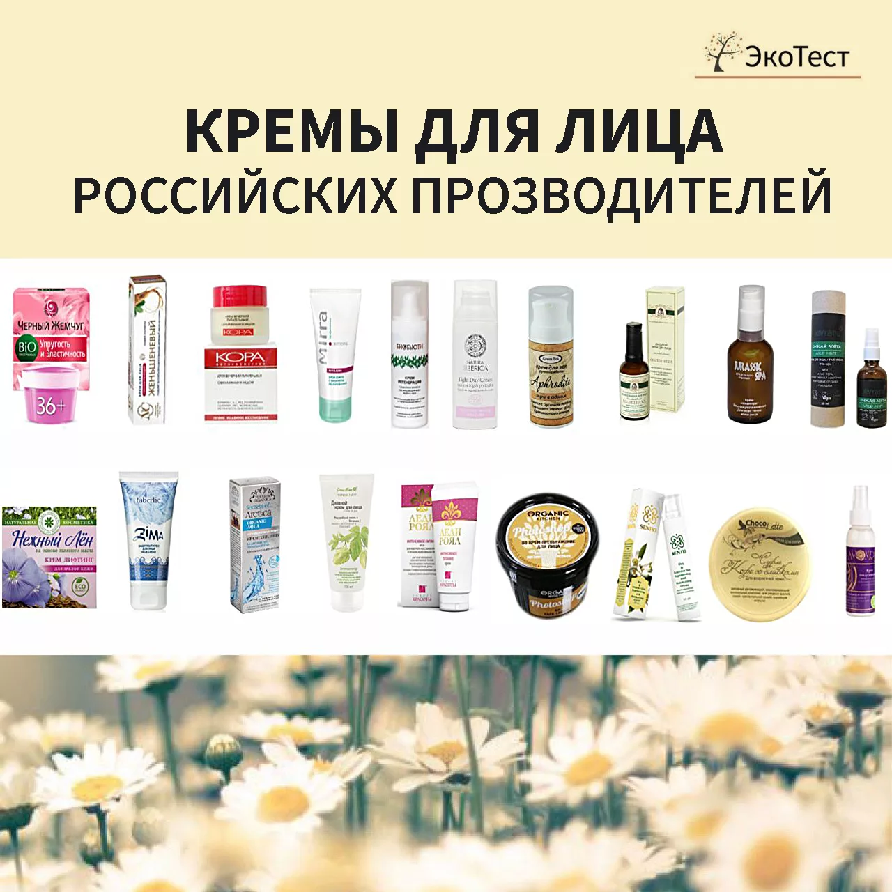 Косметика мико: кейс становления успешной и экологичной компании
