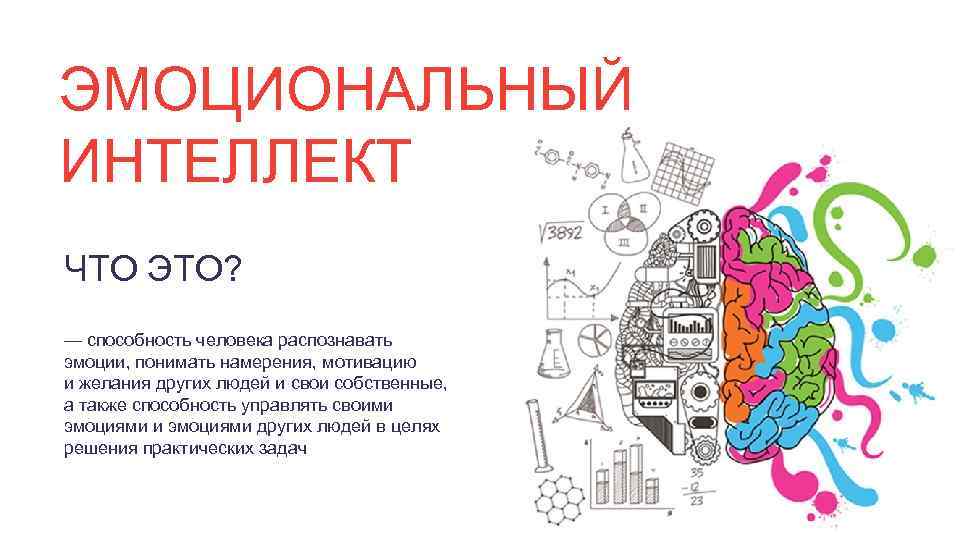 Развитый эмоциональный интеллект: за что отвечает и как его «прокачать»