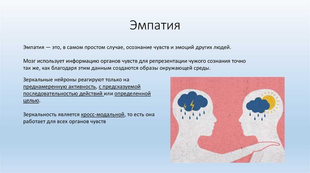 Отсутствие сочувствия: 12 признаков, которые выдают его - yes, therapy helps!