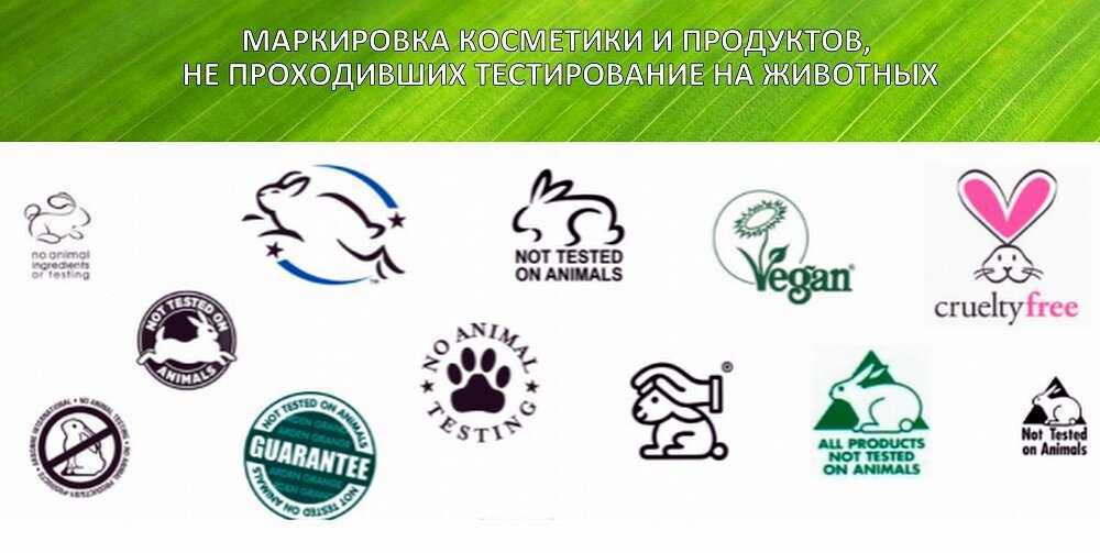Тестирование косметики на животных: ответы на главные вопросы