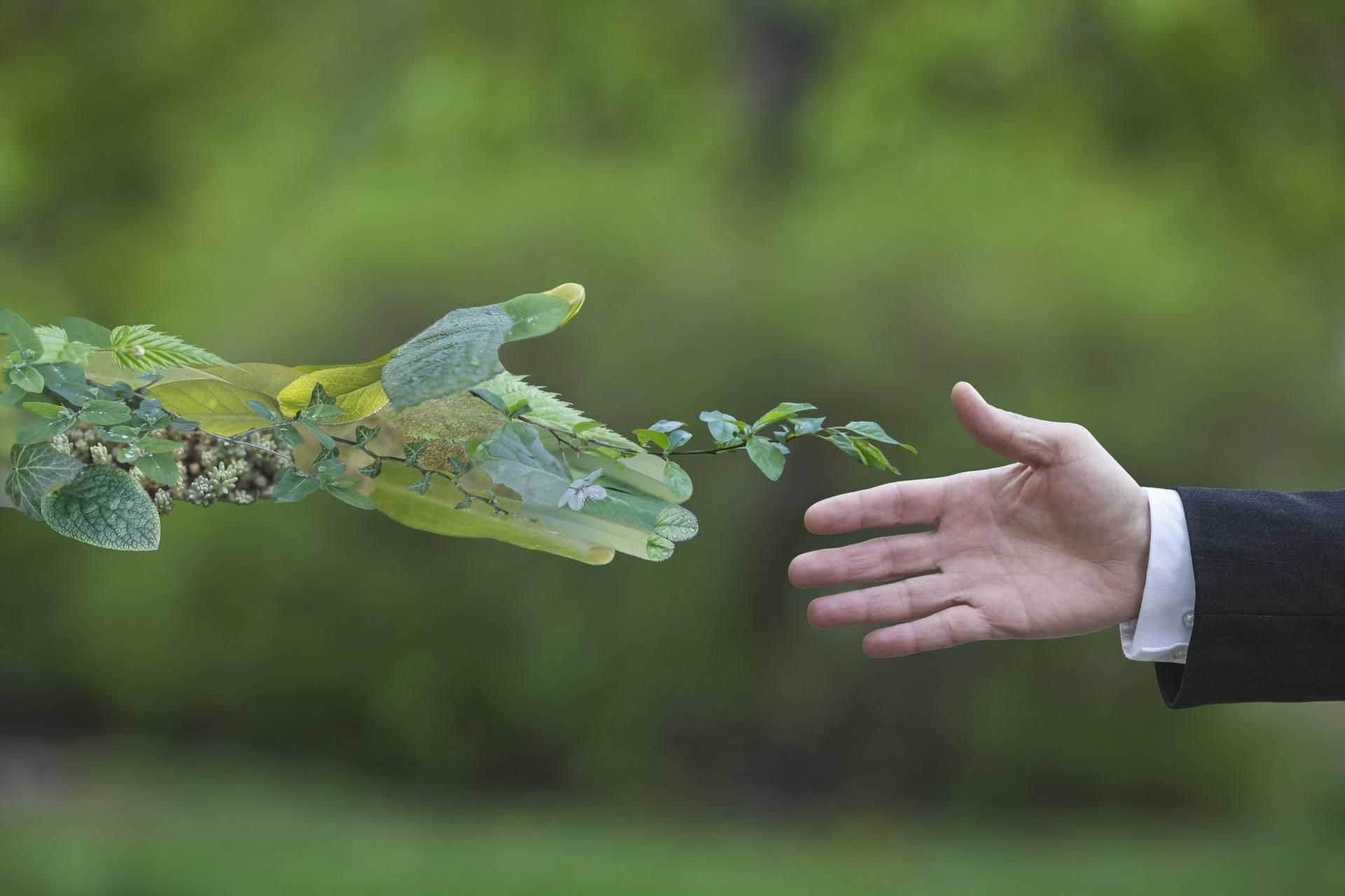 Best eco-friendly beauty products: biodegradable toiletries