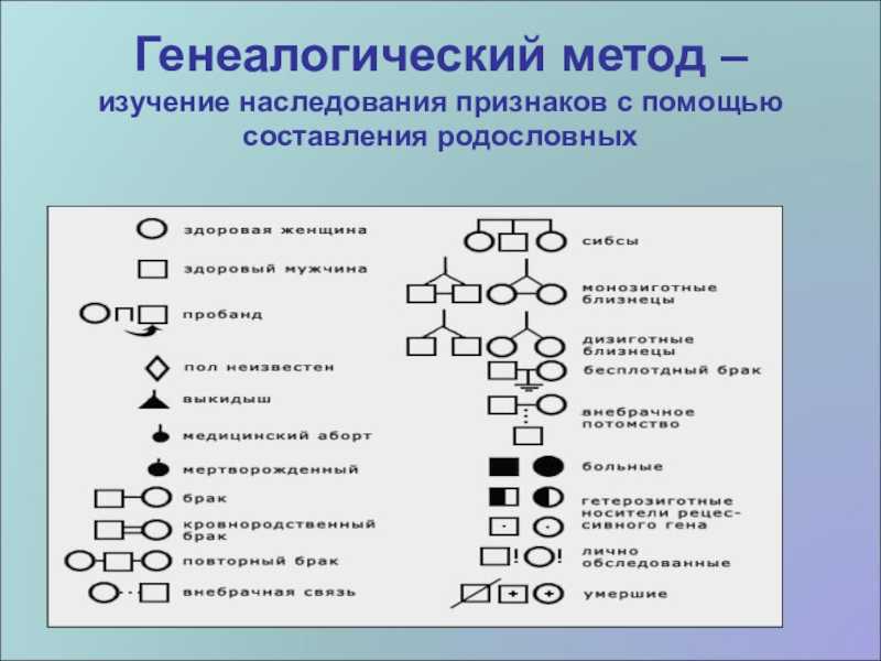 Наследуется ли интеллект детьми
