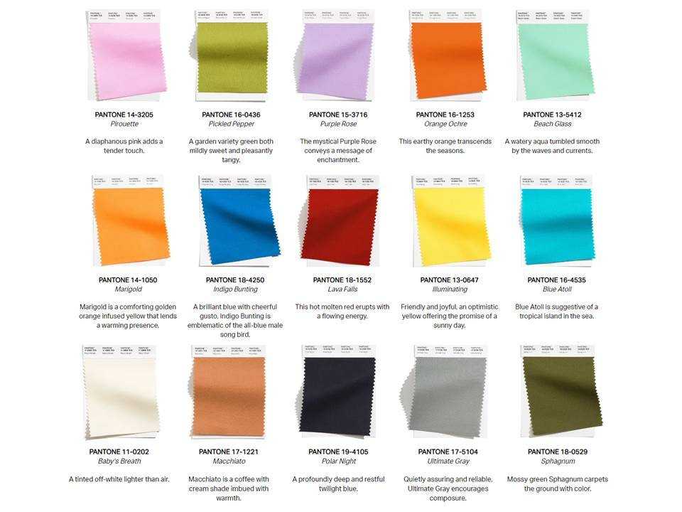 Все модные оттенки осенне-зимнего сезона 2023/2024 (по версии pantone) - info style