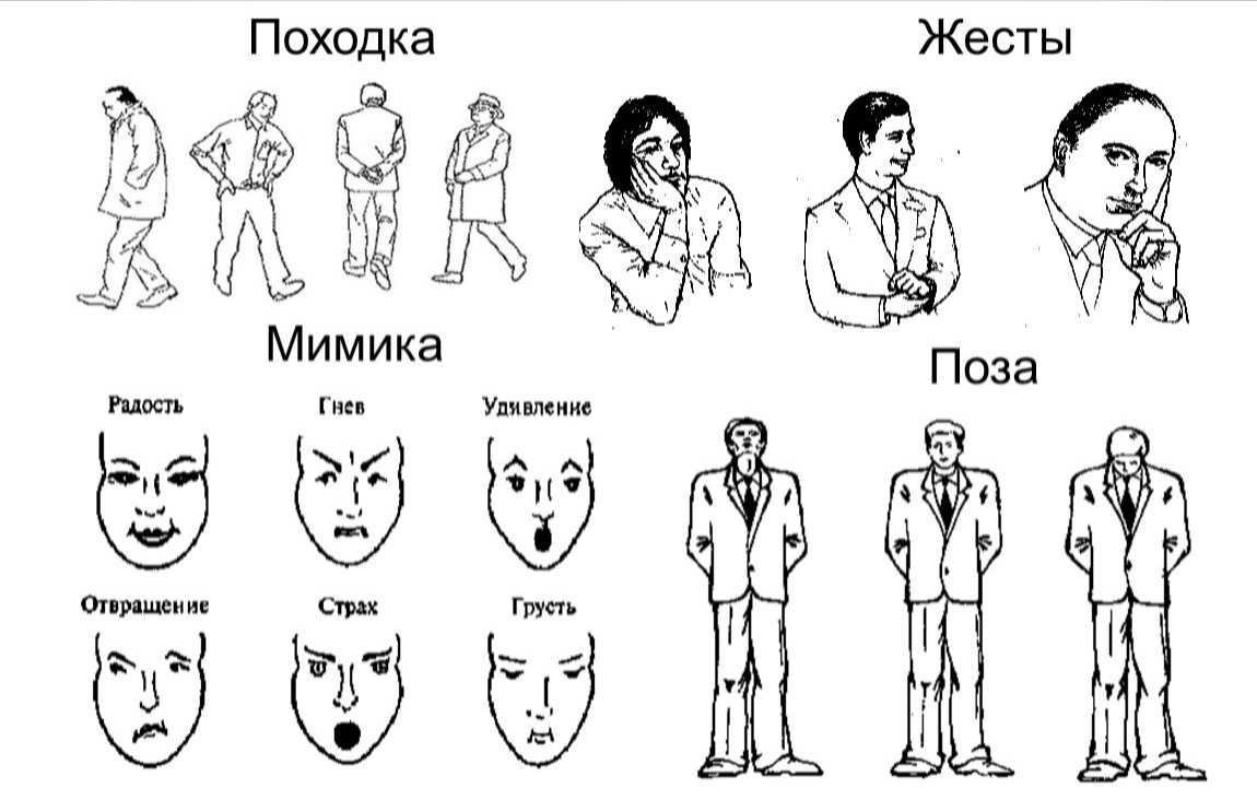 Что делает человека привлекательным?