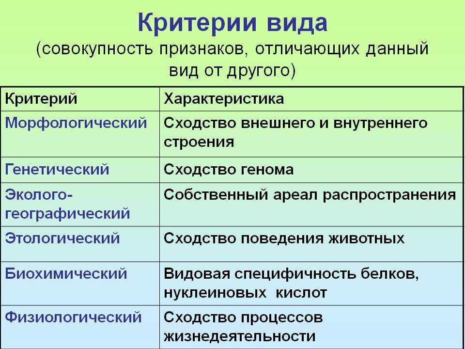 Что такое движение за нейроразнообразие? - психология - 2023