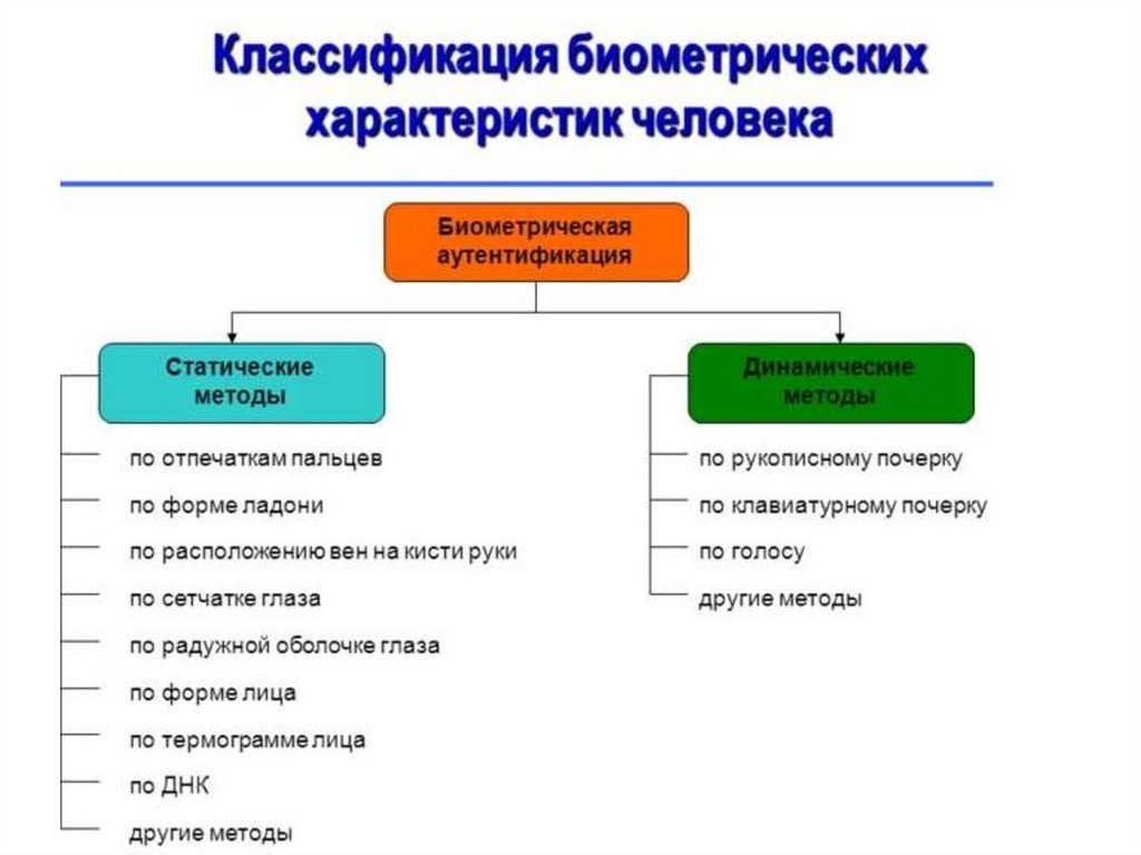Радикально-феминистская оптика: что это такое и как она влияет на общество