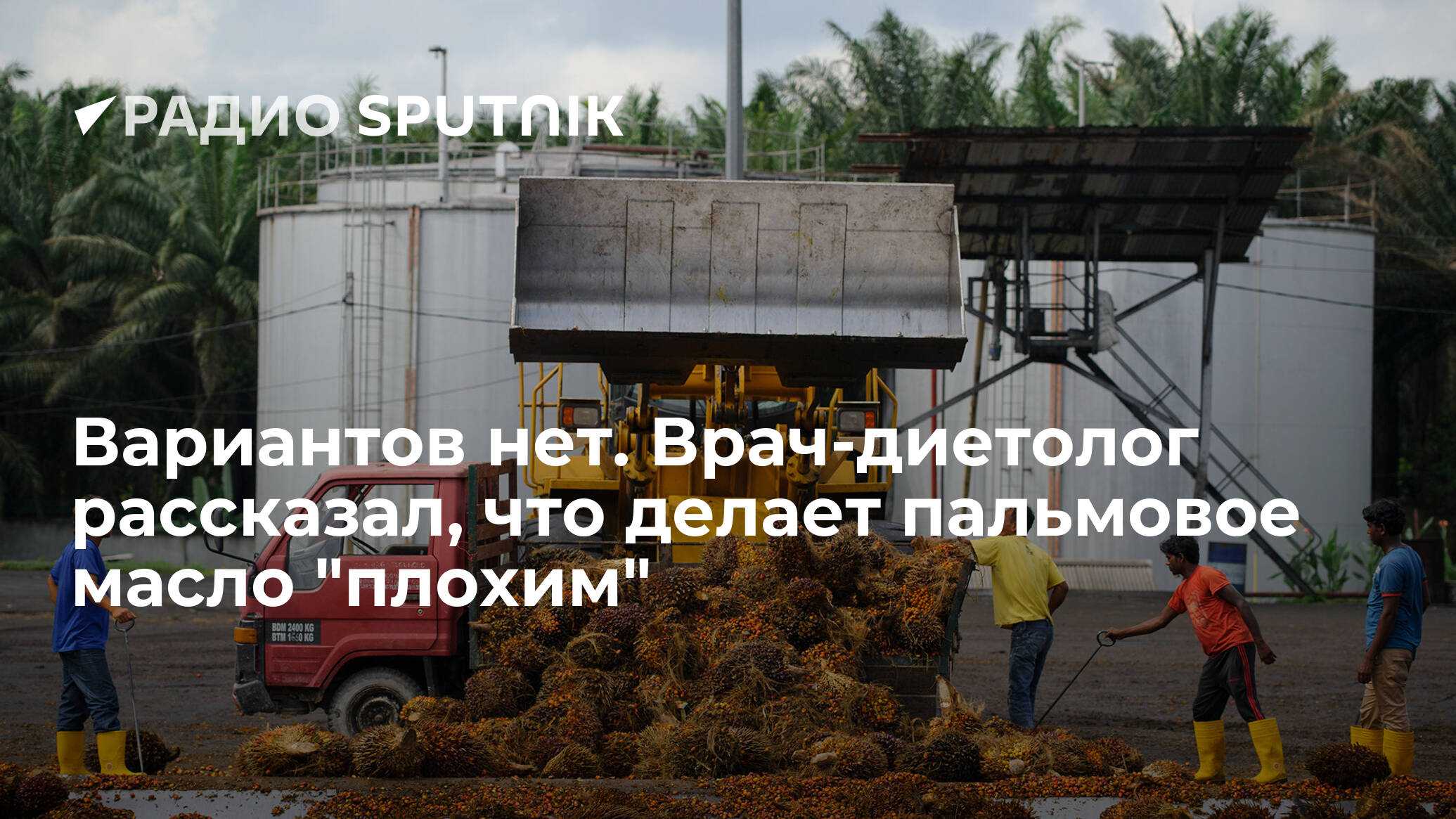 Индонезия остановила экспорт пальмового масла: как это отразится на кондитерской отрасли рф