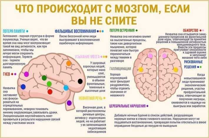 Все, что вам нужно знать о фазах сна, чтобы хорошо выспаться: данные научных исследований