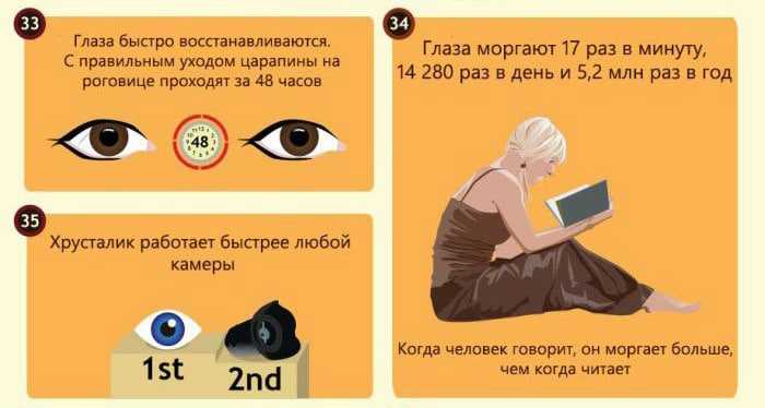 Меньше пьют, хуже переносят боль и другие интересные факты о кареглазых - тестостерон
