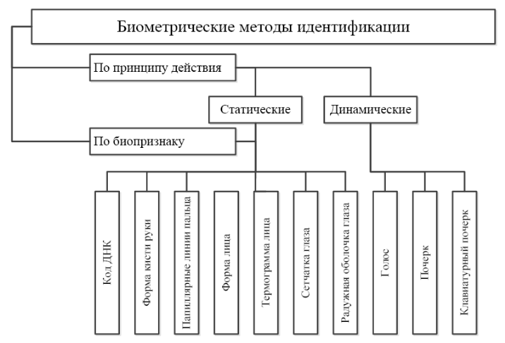 Почему женский взгляд так манит: научная составляющая