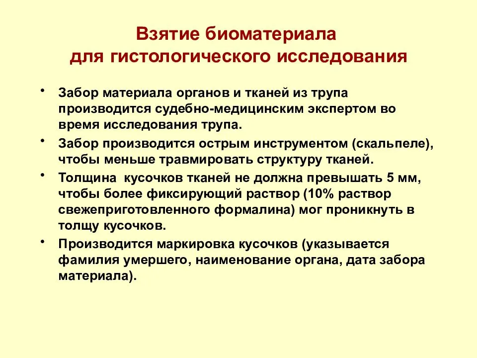 Лаборатория по созданию человеческой кожи. в россии для лечения ожогов и ран создана искусственная кожа