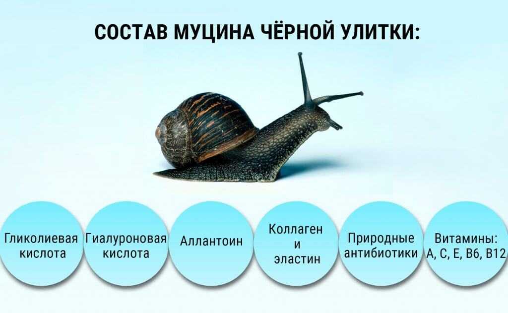 Эскарго де бургонь