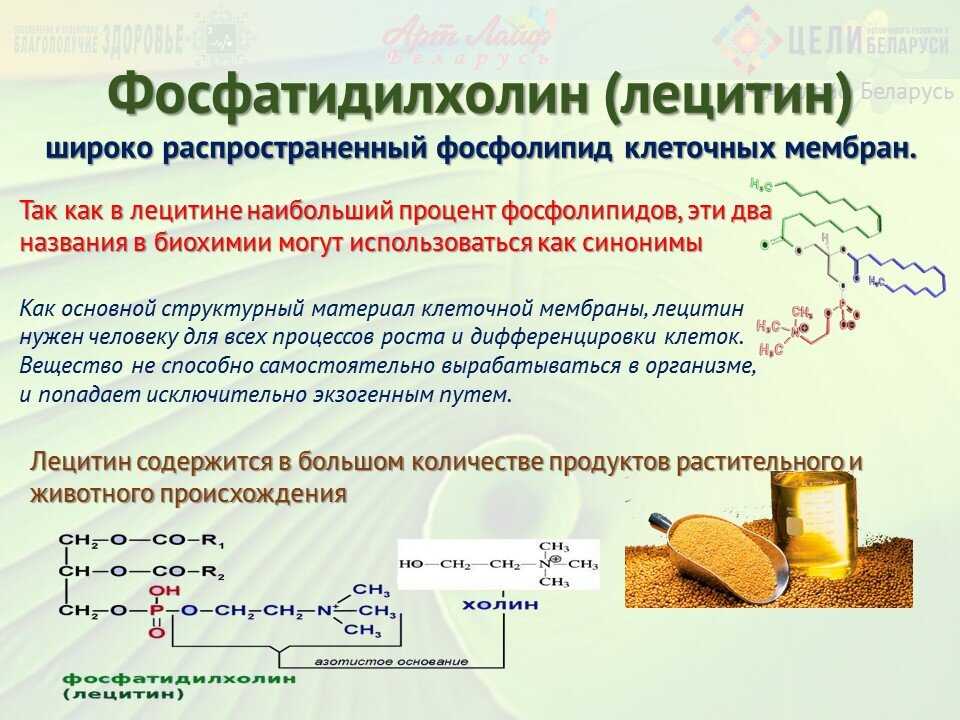 Лецитин. в каких продуктах лецитина больше