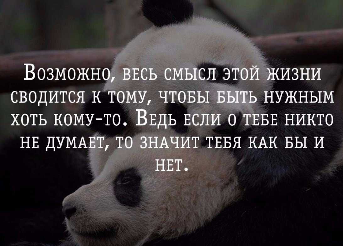 В чём смысл жизни и нужно ли его искать