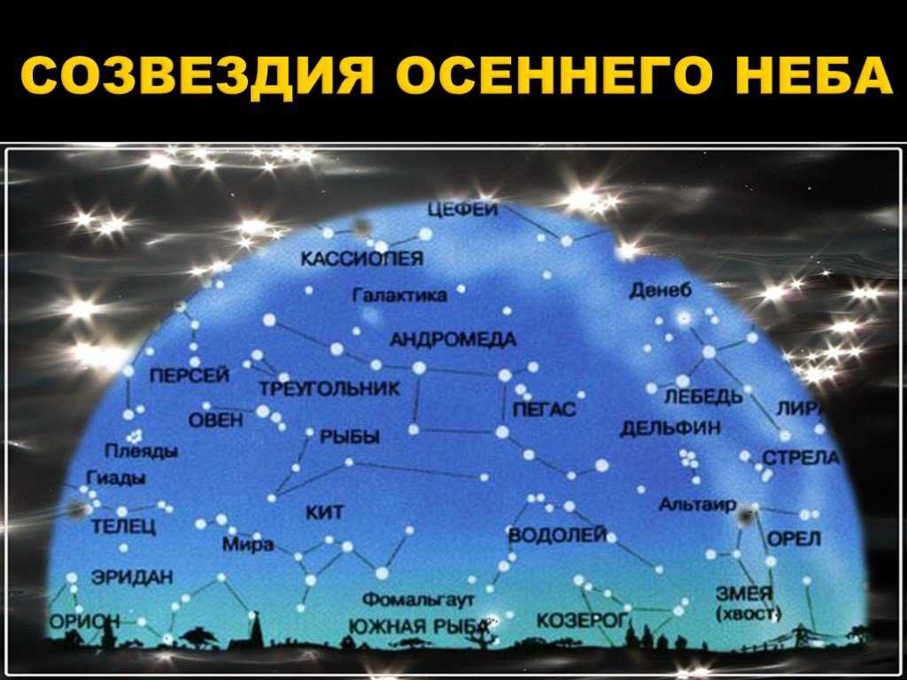 Как найти созвездия на ночном небе?
