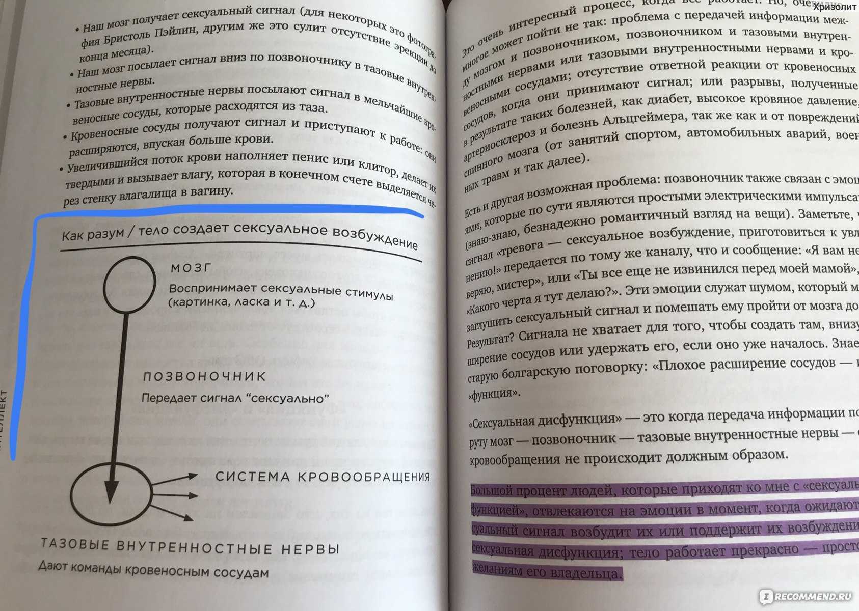 Книга сексуальный интеллект читать онлайн бесплатно, автор марти кляйн – fictionbook