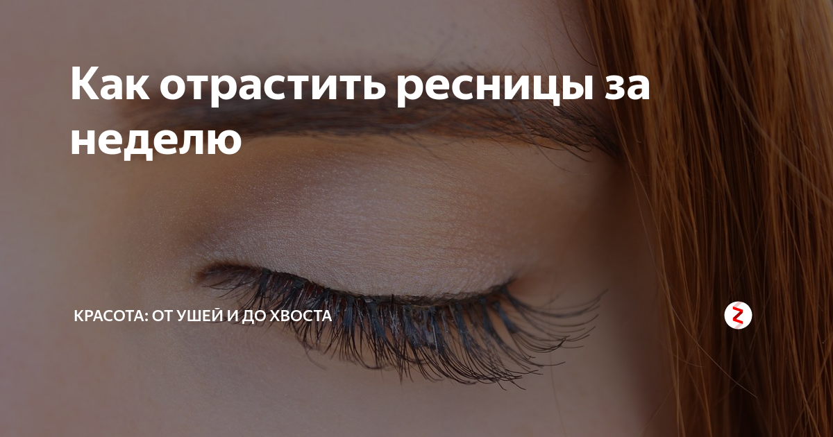 Как я отрастила ресницы в 2 раза длиннее (фото до и после)