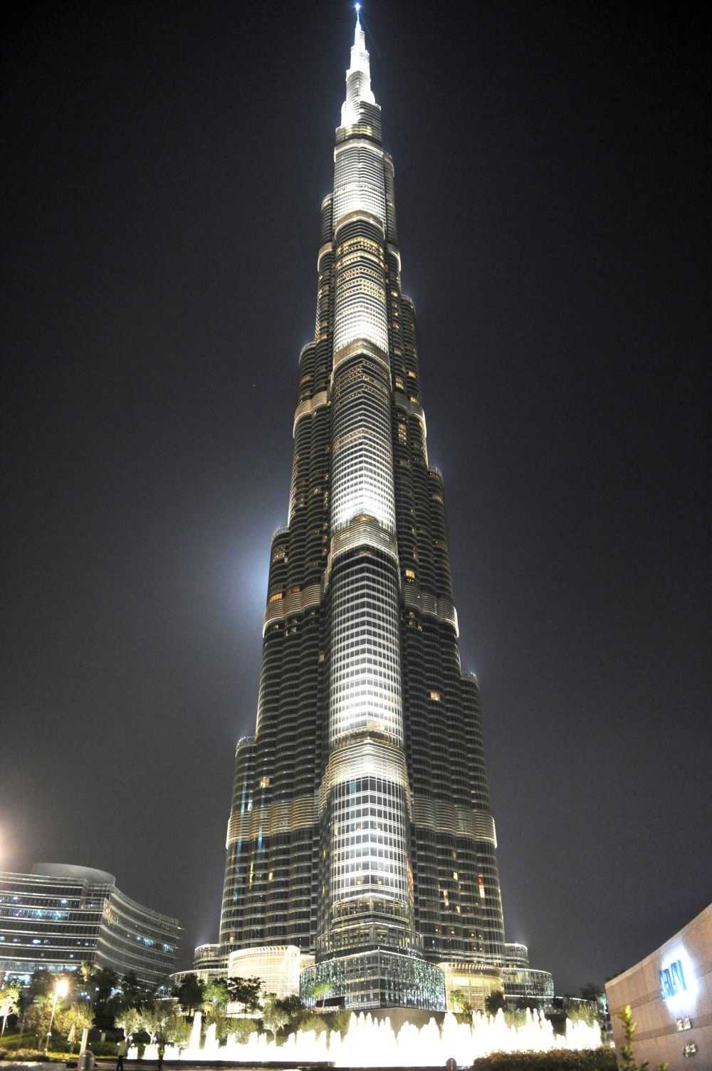 Major contributions of the uae royal families