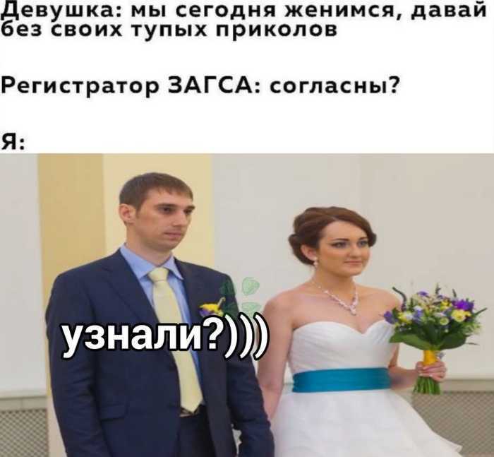 Передумали жениться – как забрать заявление из загса на регистрацию брака?