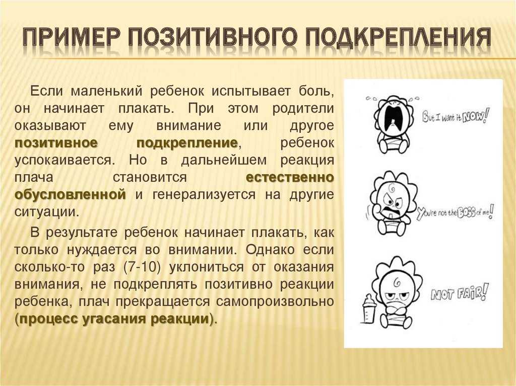 Теория подкрепления б. ф. скиннера